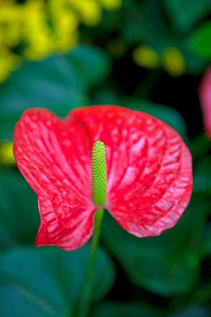 在世界上找到你的位置读后感(在世界上找到你的位置阅读)