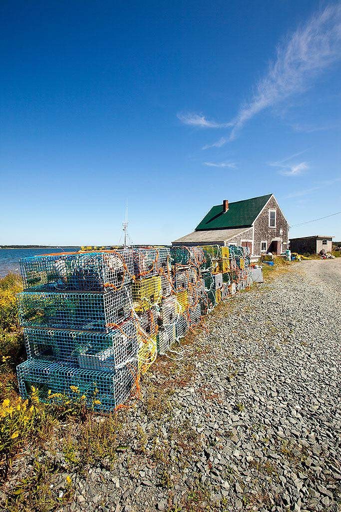 要怎样和领导相处才能赢(领导和同事怎样相处好)