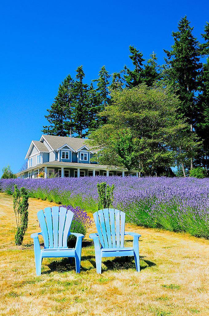 怎样调研 任仲然 电子书(怎样调研任仲然百度云)