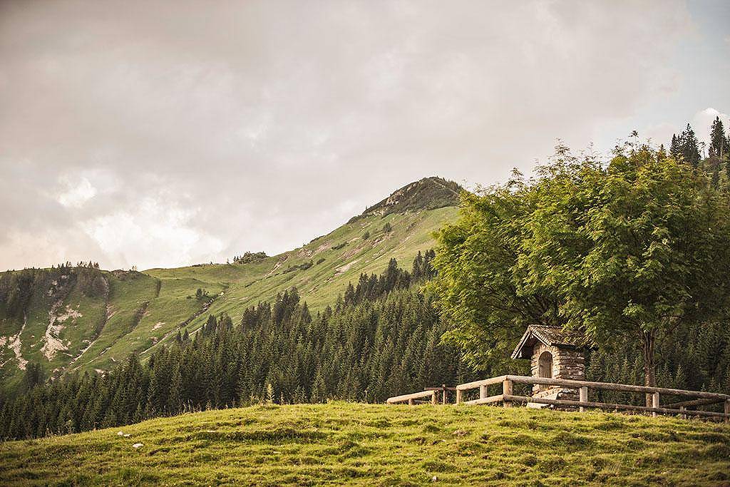 经济人的末日反出生主义(经济人的末日繁体)