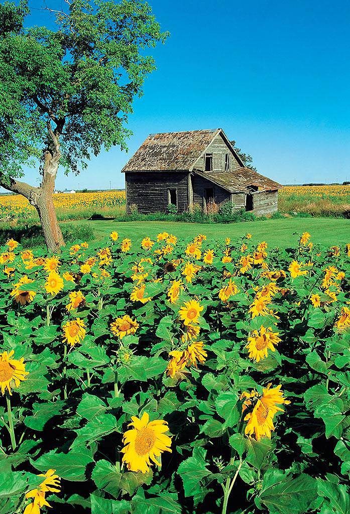 父母们，此刻起尊重理解孩子重要吗？正念养育该咋做？