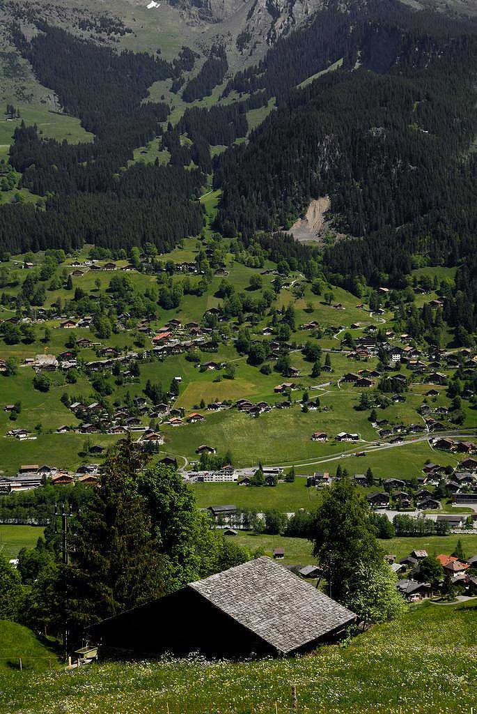 汤老师新书带团队的方法上市啦，其中管理日历部分真那么有效？