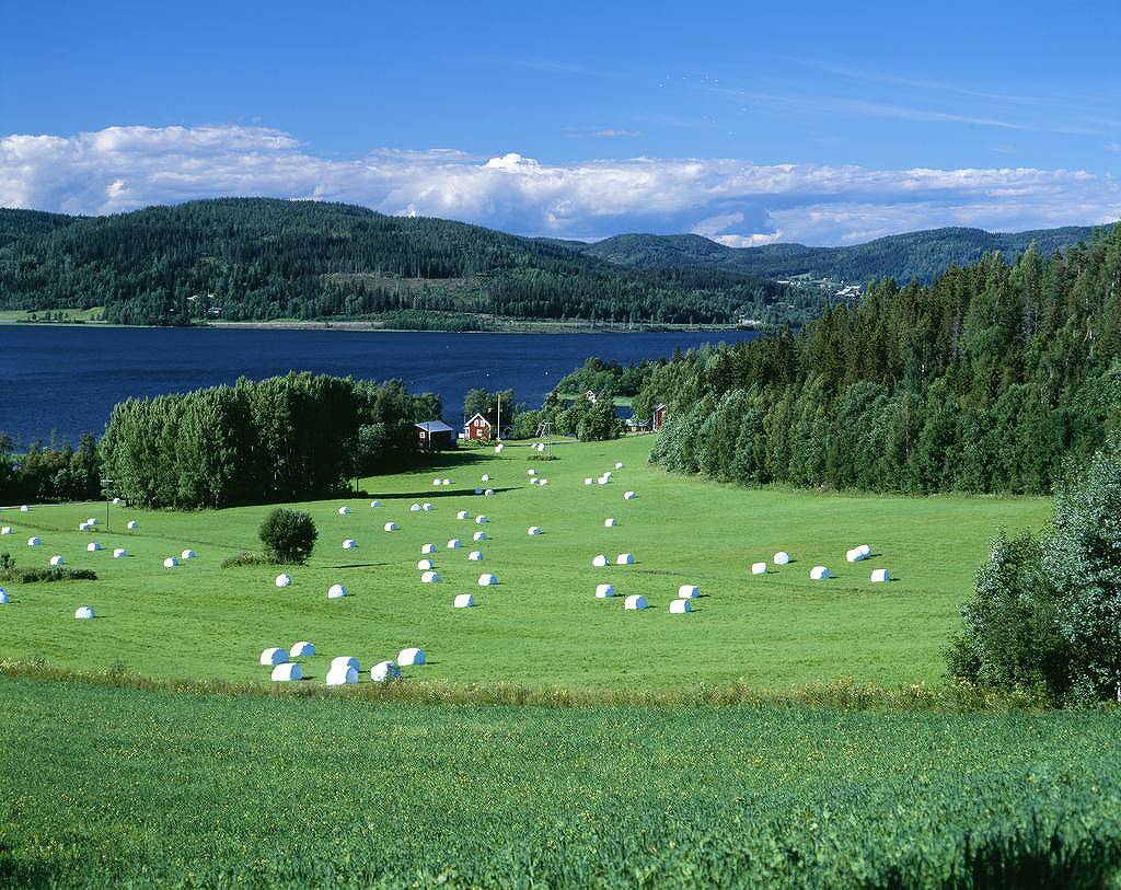 想预测未来？快来学学书夹两端法！