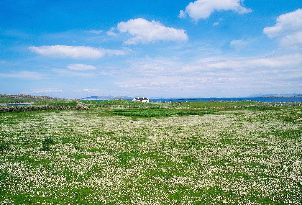 想当领导得先解决问题，让我来才是领导力的体现，不是吗？