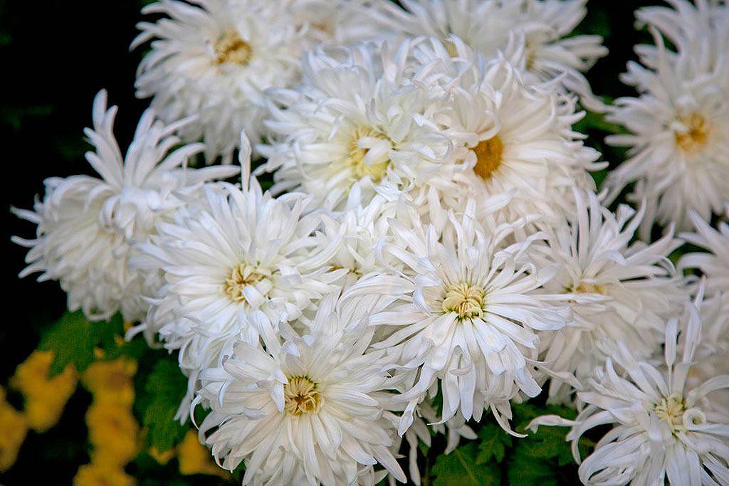 想要就得付出，这道理你真懂吗？