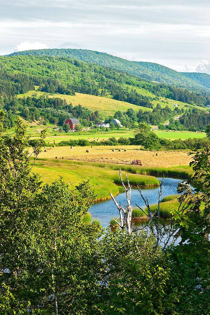 想想过去现在未来，你能处理好情绪和计划吗？