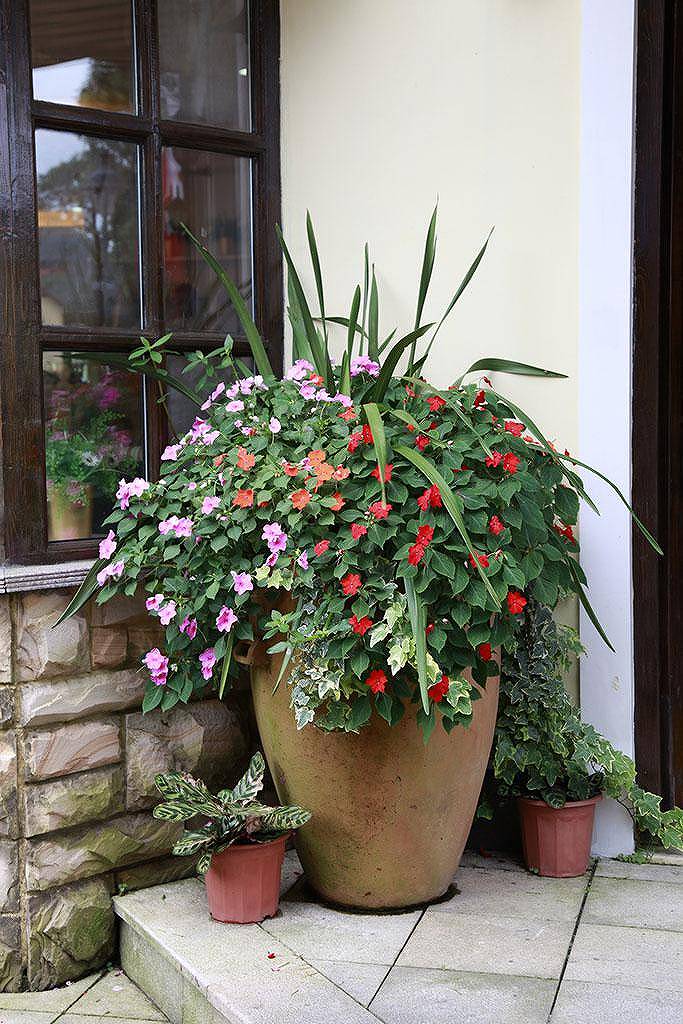 摄影真就只是费钱吗？它带来的意义何其多啊！