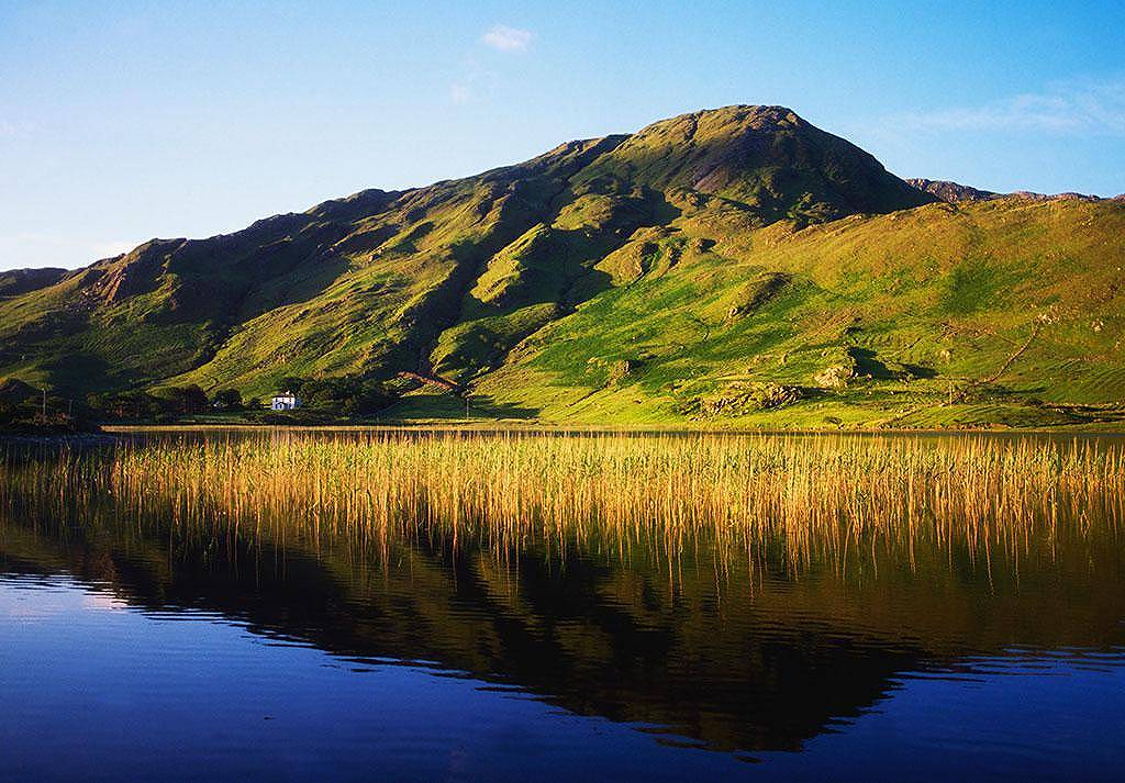 伊朗导演拉索罗夫屡犯禁忌，这次能逃过鞭刑吗？