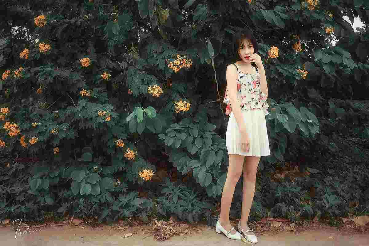 巴拉巴西成功定律