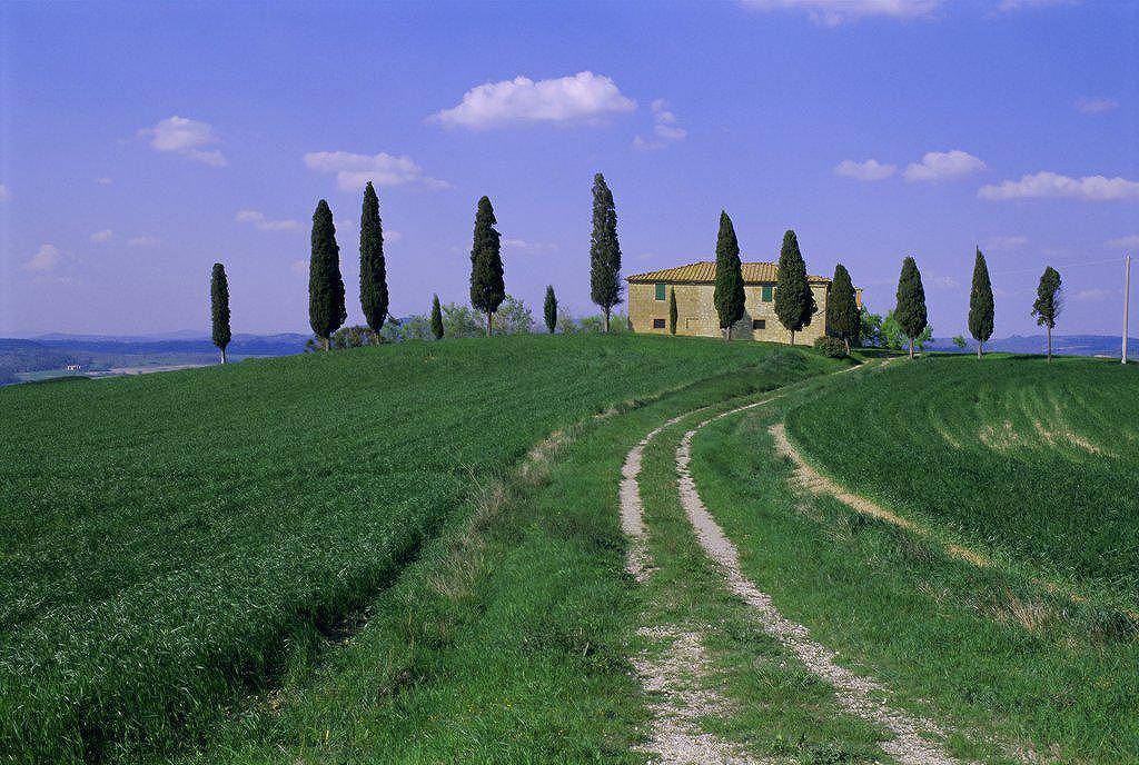 父亲的教育：包容缺点，先挑有问题的梨，这是为何呢？