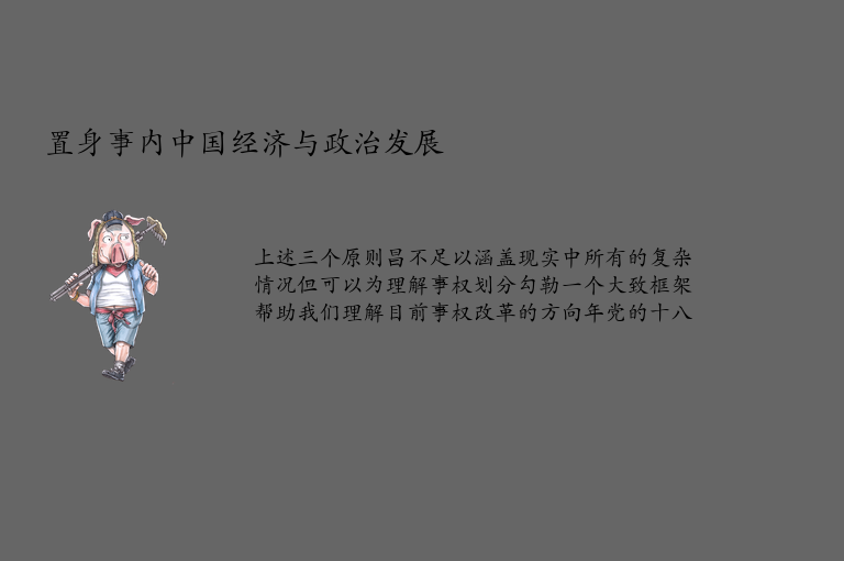 置身事内中国经济与政治发展