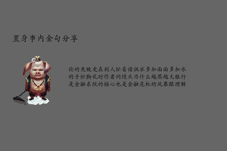 置身事内金句分享