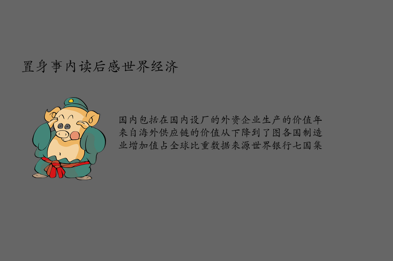 置身事内读后感世界经济
